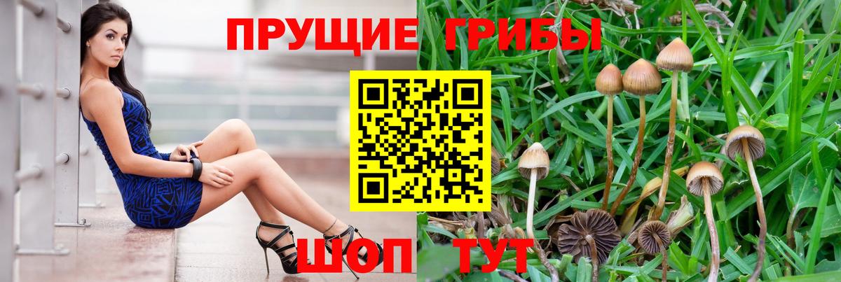 Псилоцибиновые грибы ЛСД Шумерля