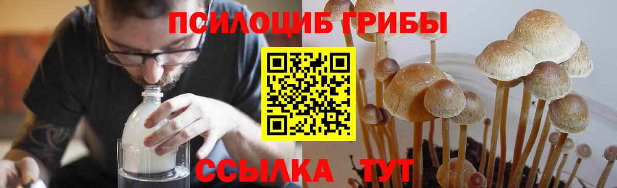 купить закладку  Вход с VPN  Шумерля  Галлюциногенные грибы MAGIC MUSHROOMS 